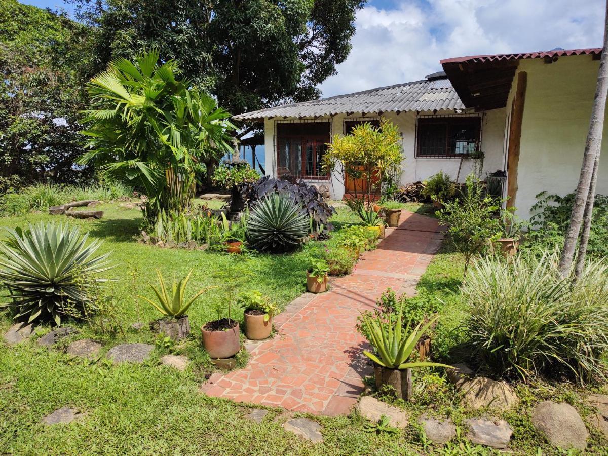 Finca Hostal Bolivar - Casa Quinta ミンカ エクステリア 写真